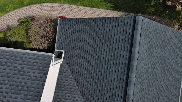 Best Roof Coating and Sealing  in Adelphi, MD